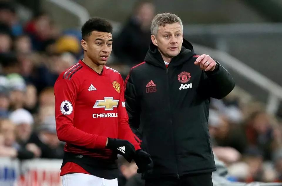 人类困扰的 人类困扰的