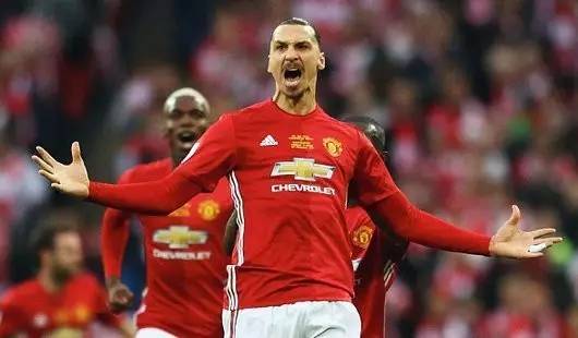 职业选手的 职业选手的